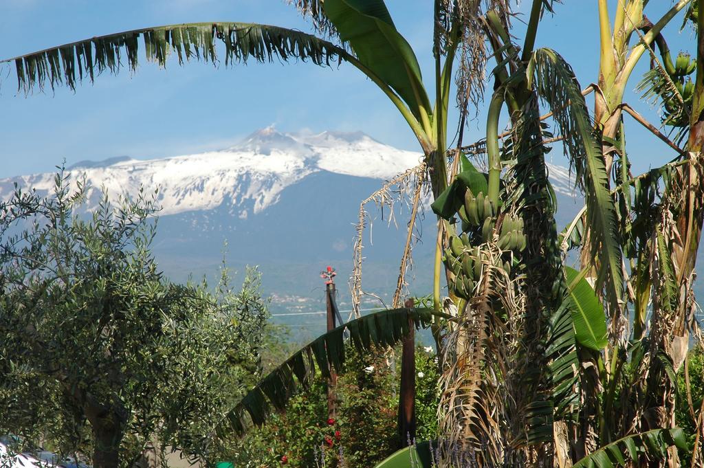 Agriturismo Dell'Etna Riposto Eksteriør bilde